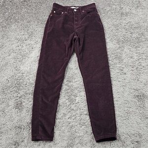 Levi Burgundy Pants